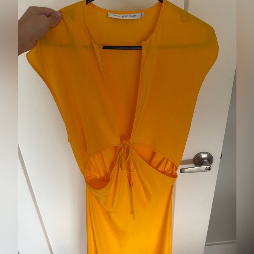 Christopher Esber Cut Out Dress
au 8 - Picture 4 of 5